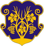 Wappen von Uzhhorod