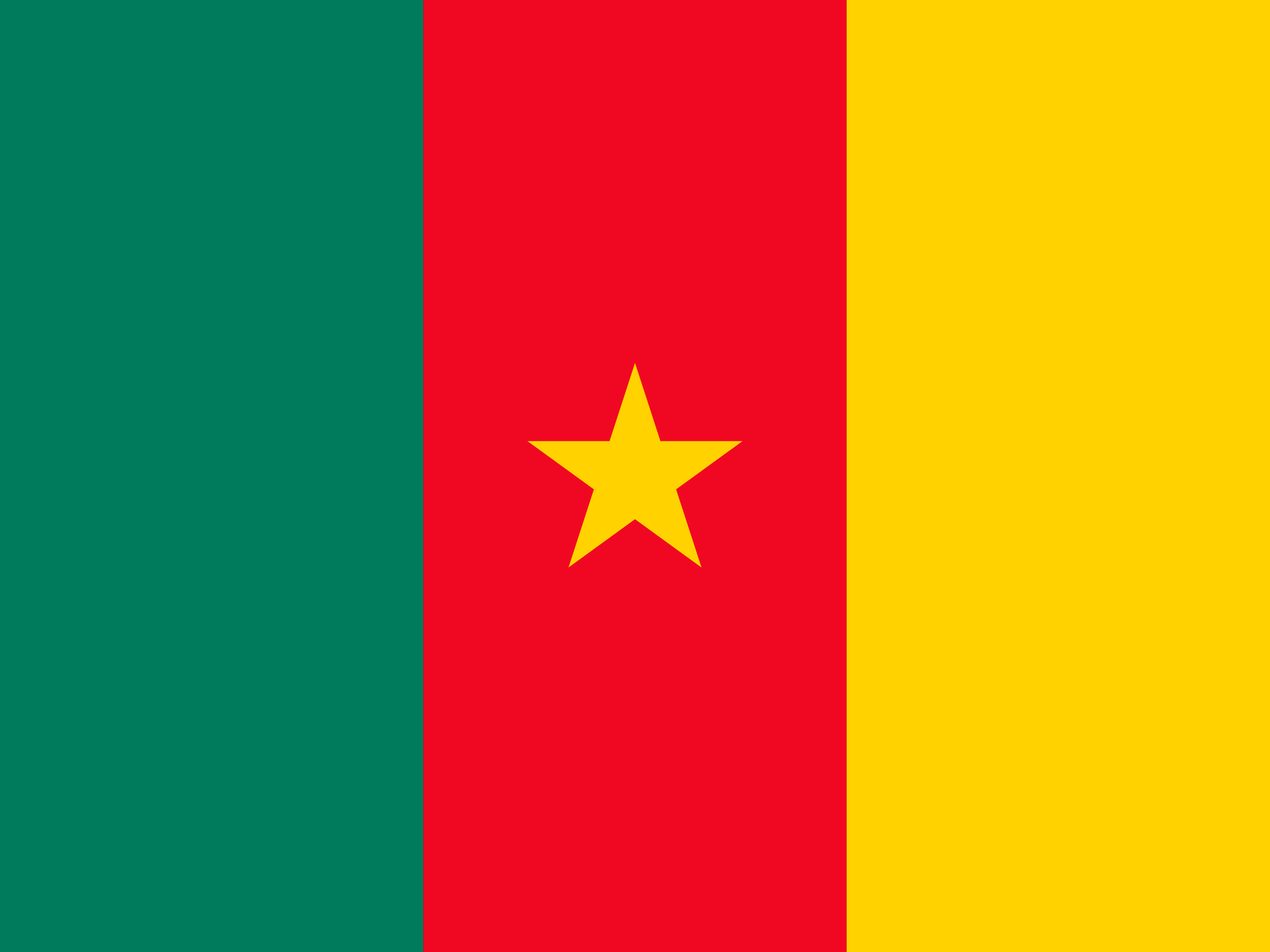 Flagge von Kamerun