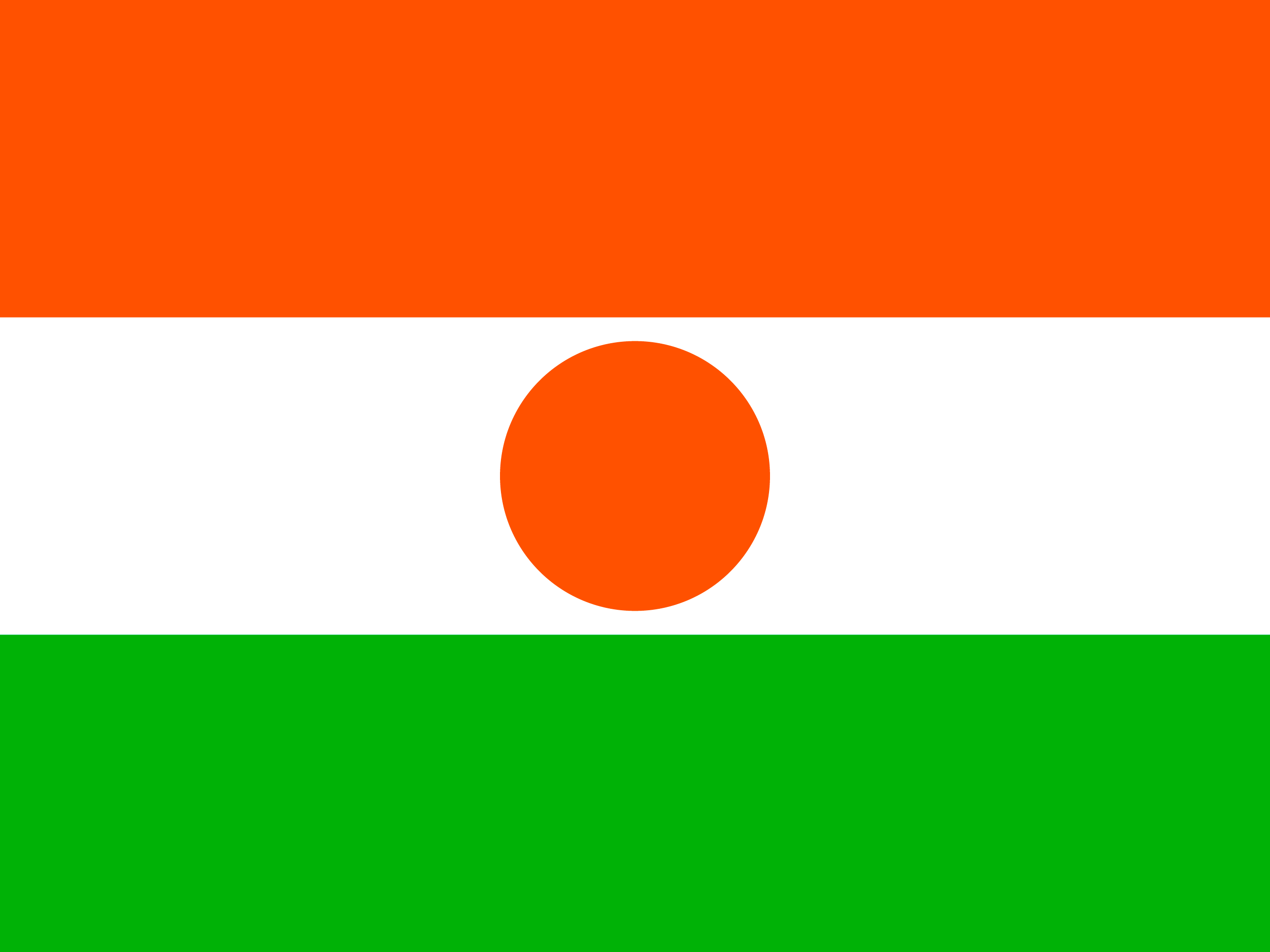 Flagge von Niger