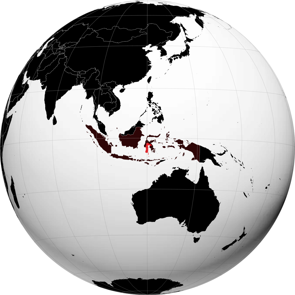 Südsulawesi auf dem Globus